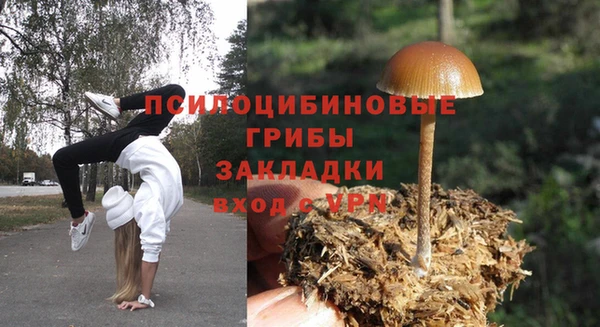 ПСИЛОЦИБИНОВЫЕ ГРИБЫ Волоколамск