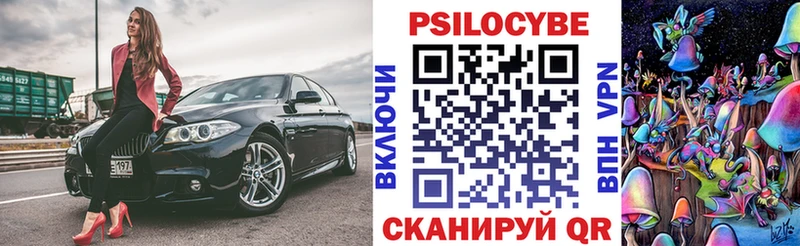 shop как зайти  Донской  Галлюциногенные грибы GOLDEN TEACHER 